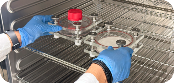 Analysis of Food Contact Materials (FCM) at Medistri