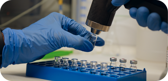 Ensuring Safety in Plastics and Food Contact Materials