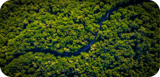 Medistri’s Environmental Impact in Sterilization Operations