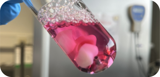 An Overview of the "Big Three": Cytotoxicity, Irritation & Sensitization Testing 